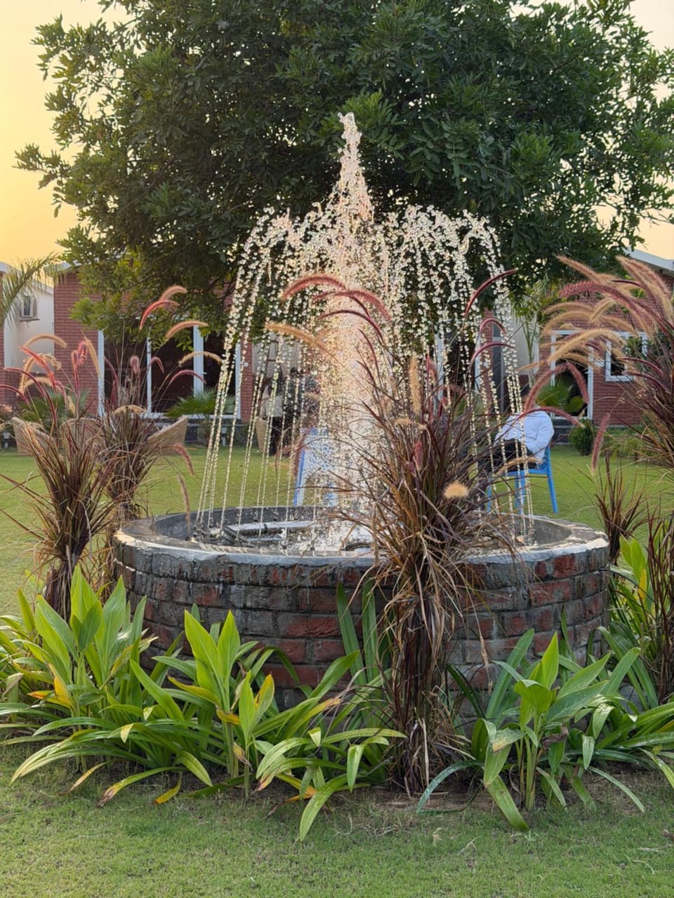 The Birds Villa Farmhouse Farm Stay in Jaipur