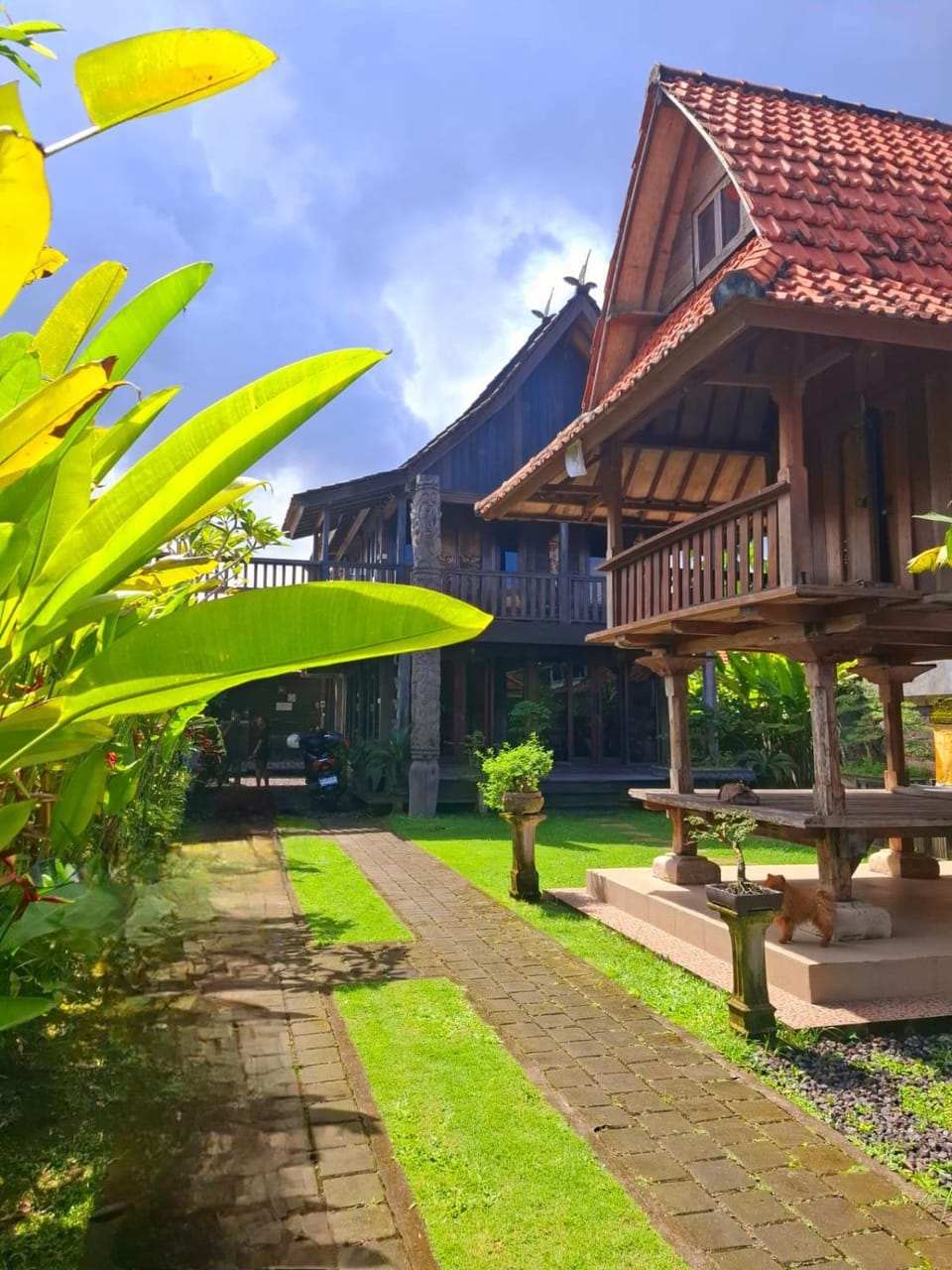 Property building, Garden, Garden view