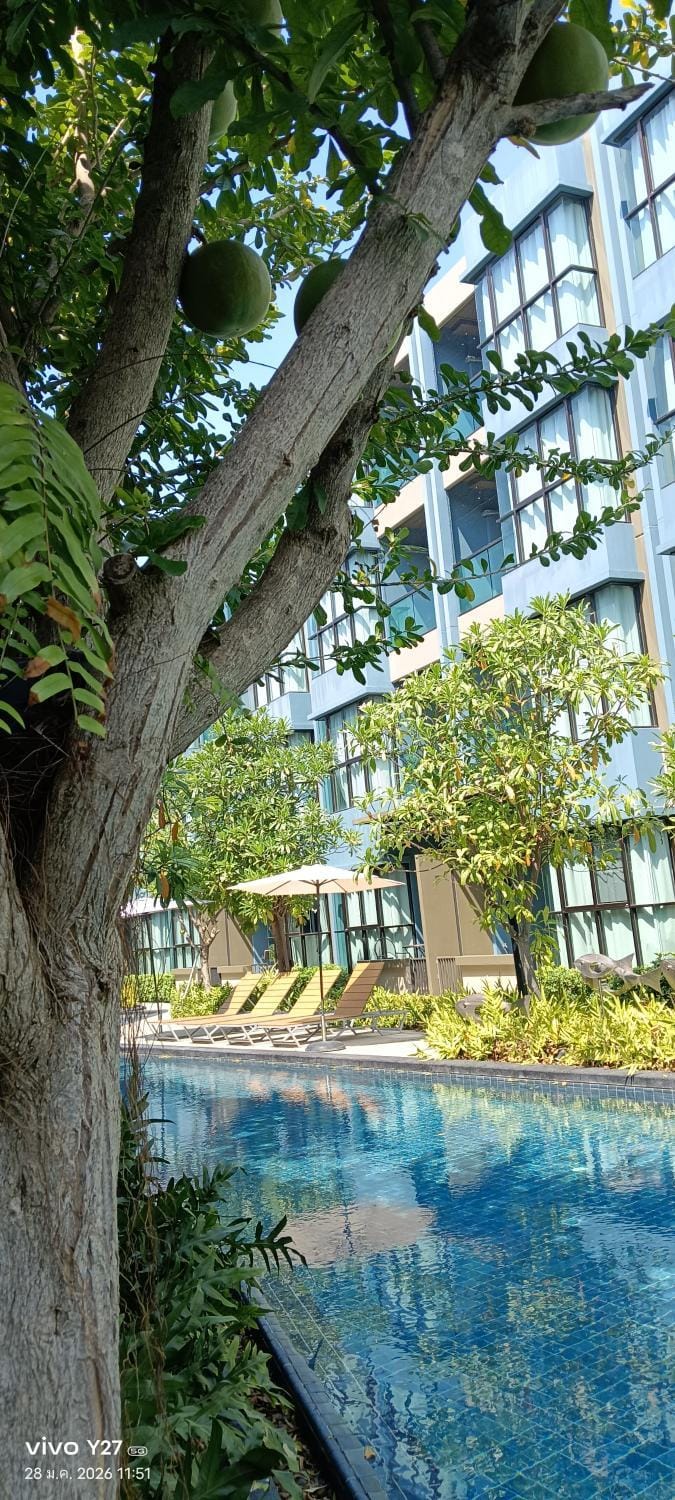 Garden, Swimming pool