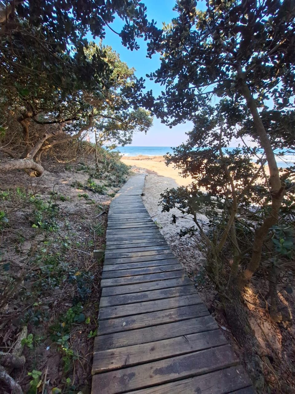 Beach