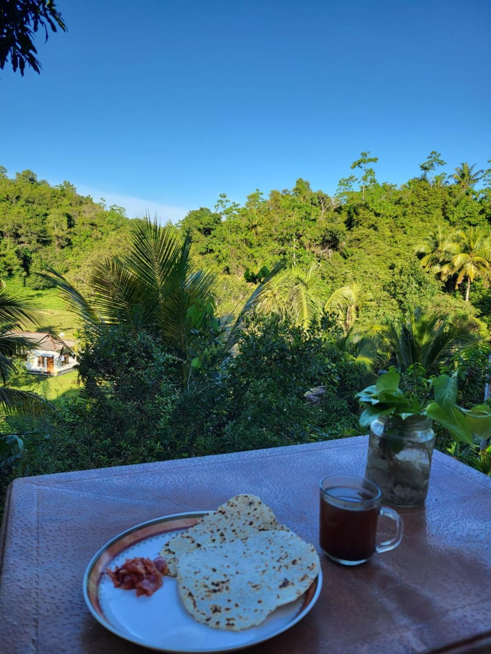 Nature villa Mirissa Apartment in Mirissa