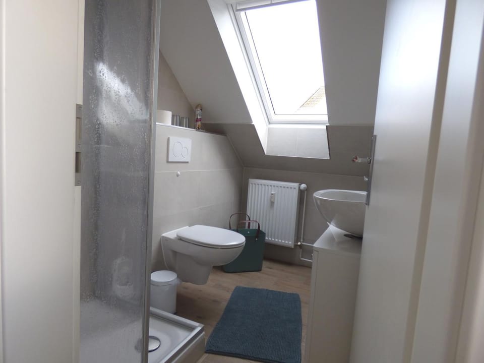 Shower, Toilet, Bathroom, towels