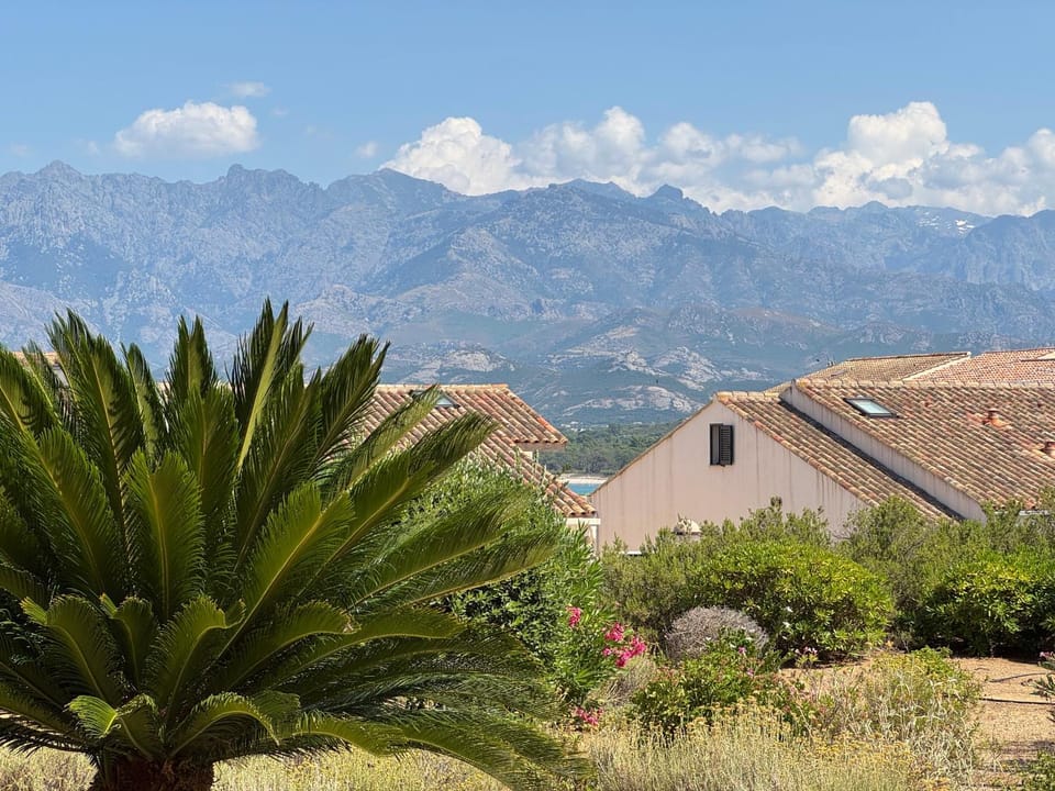 Mountain view