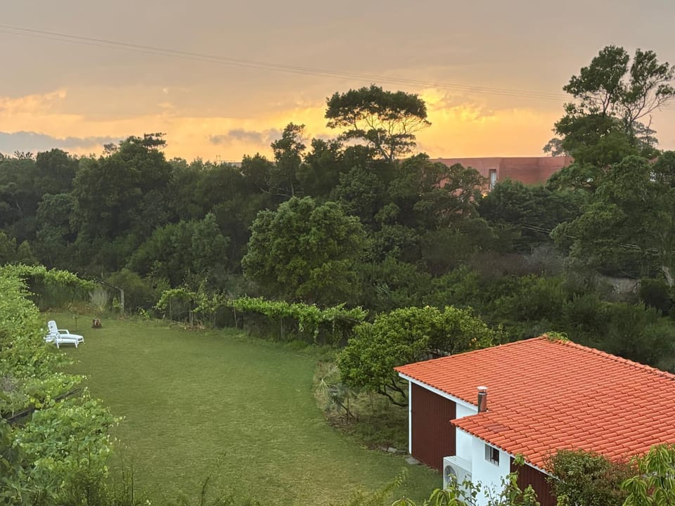 Moledo Sea Garden Apartment in Viana do Castelo District, Portugal