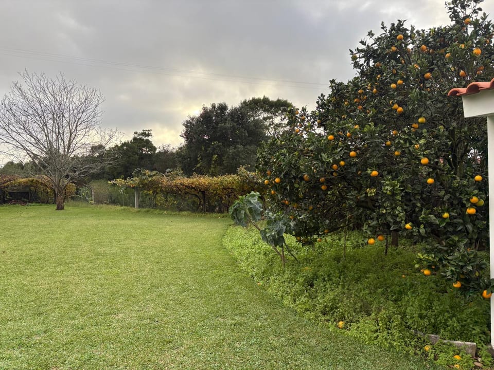 Garden, Garden, Garden view