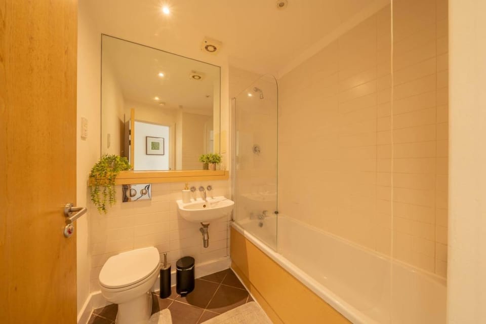 Shower, Toilet, Bathroom, Bath, towels