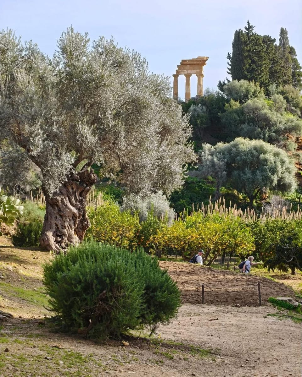 Girgenti Charming House Apartment in Agrigento