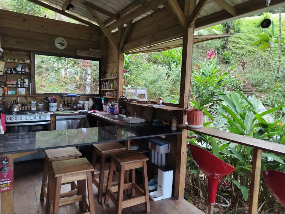 Gayadelphie jungle and sea house House in Bastimentos Island