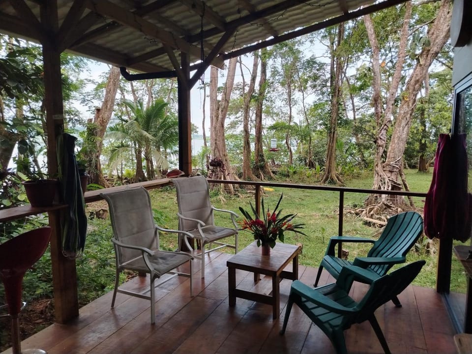 Gayadelphie jungle and sea house House in Bastimentos Island