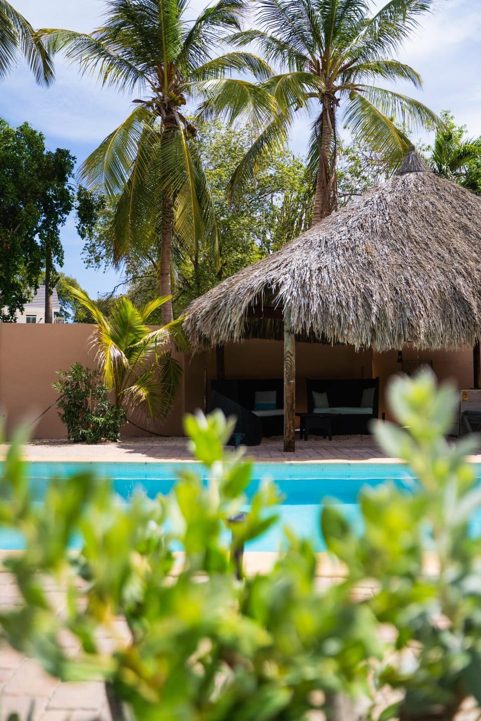 Garden view, Pool view, Swimming pool