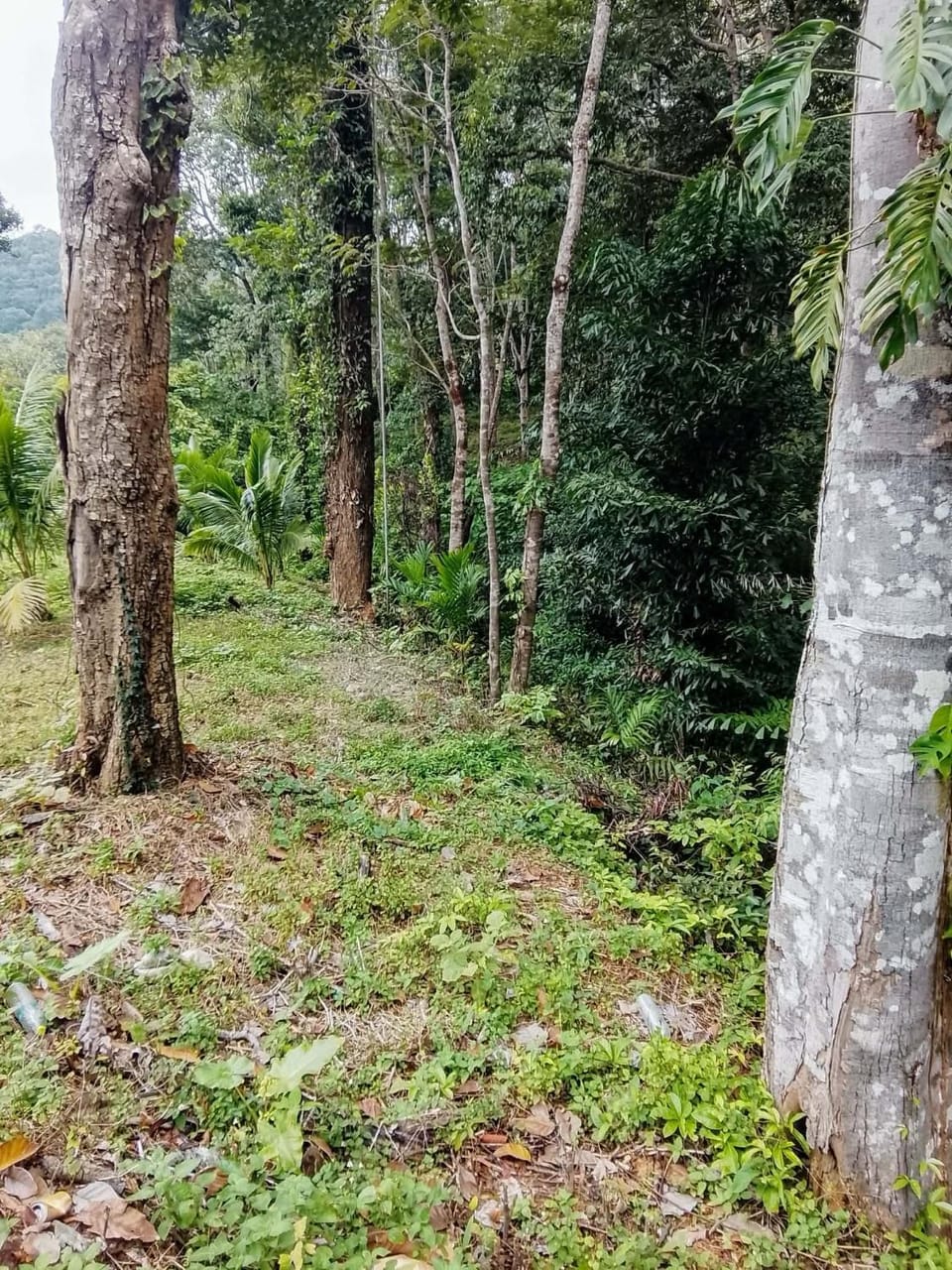 Abu Sea Man Houses Apartment in Krabi Changwat
