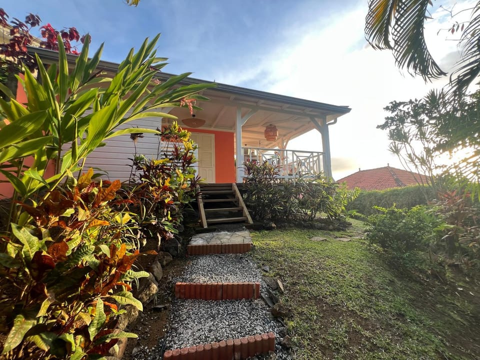 Property building, Garden, Garden view