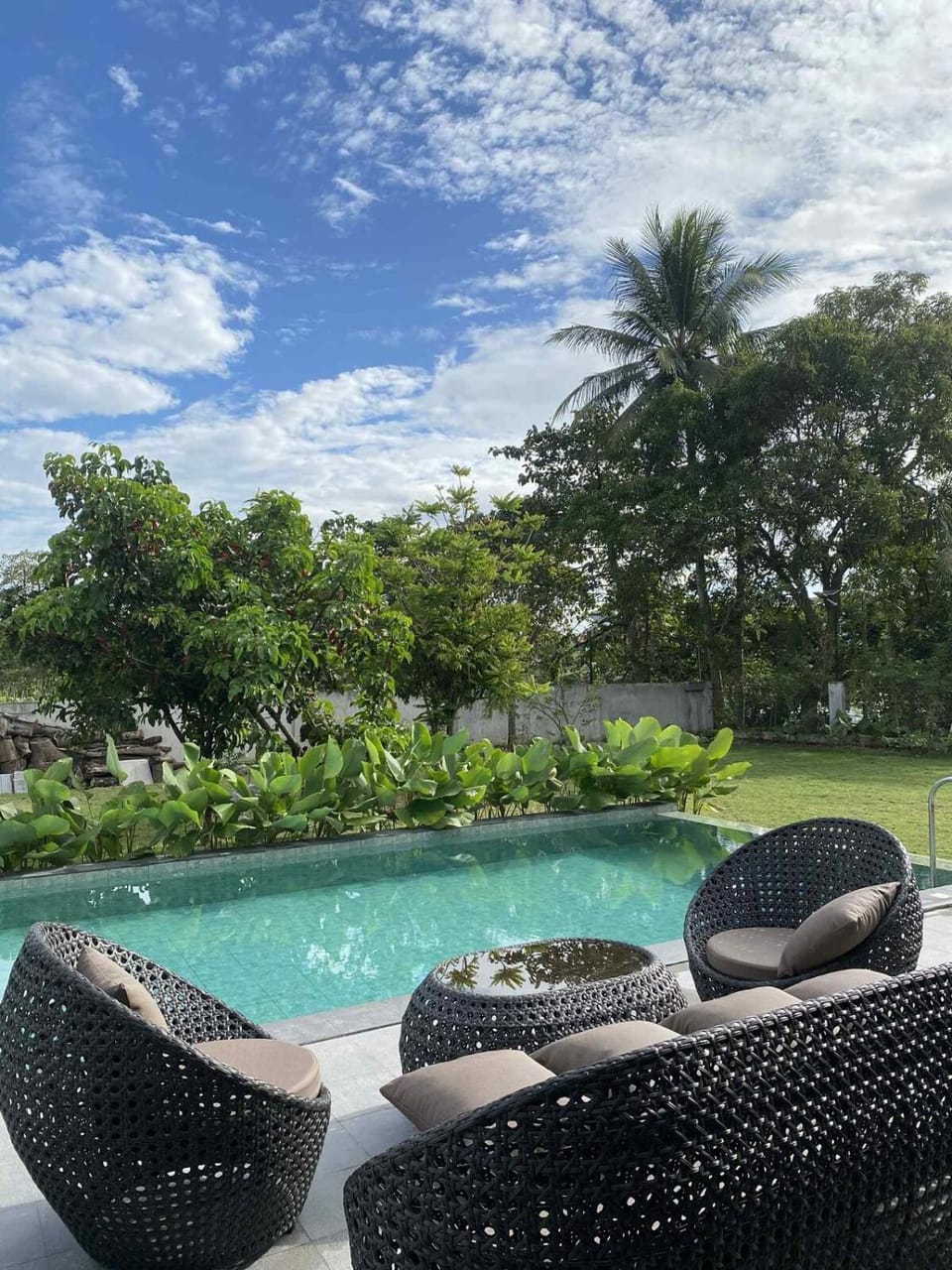 Day, Natural landscape, Garden, Garden view, Pool view, Swimming pool, sunbed