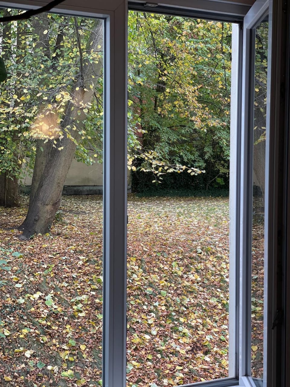 Garden view