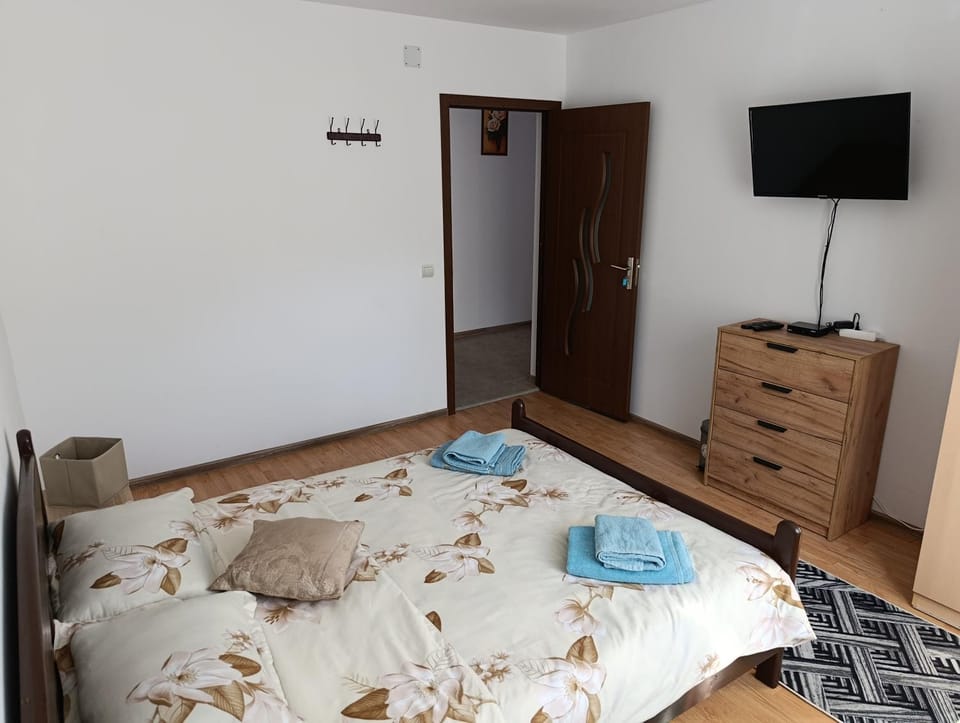 Cabana Dany Colibița House in Romania