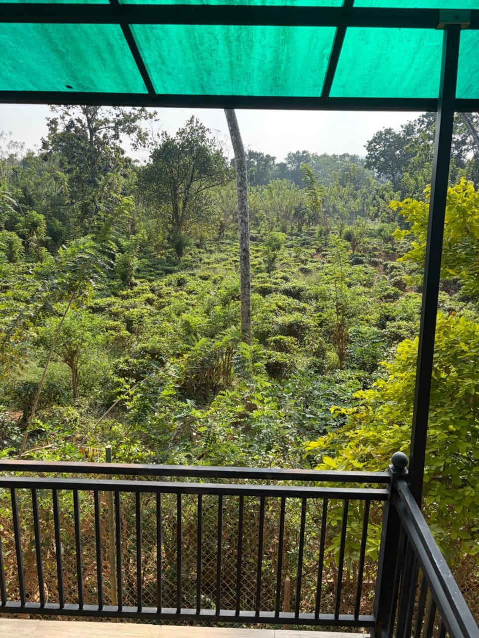 Garden, Garden view