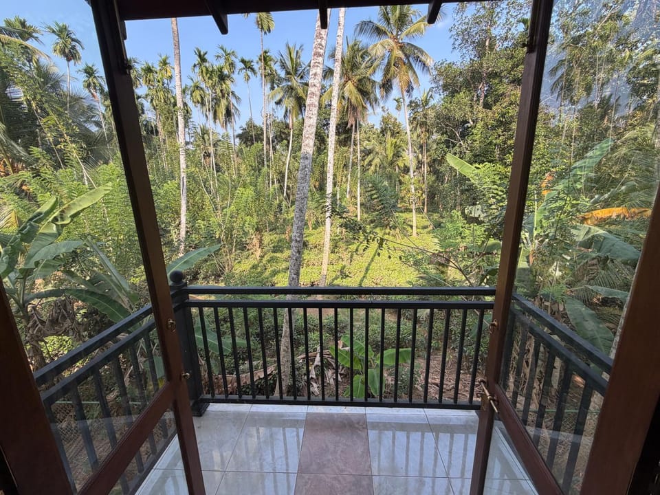 View (from property/room)