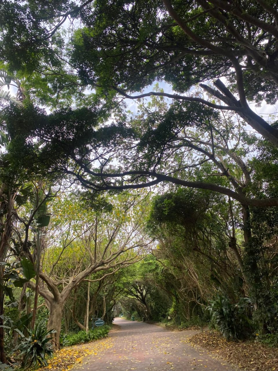 Natural landscape