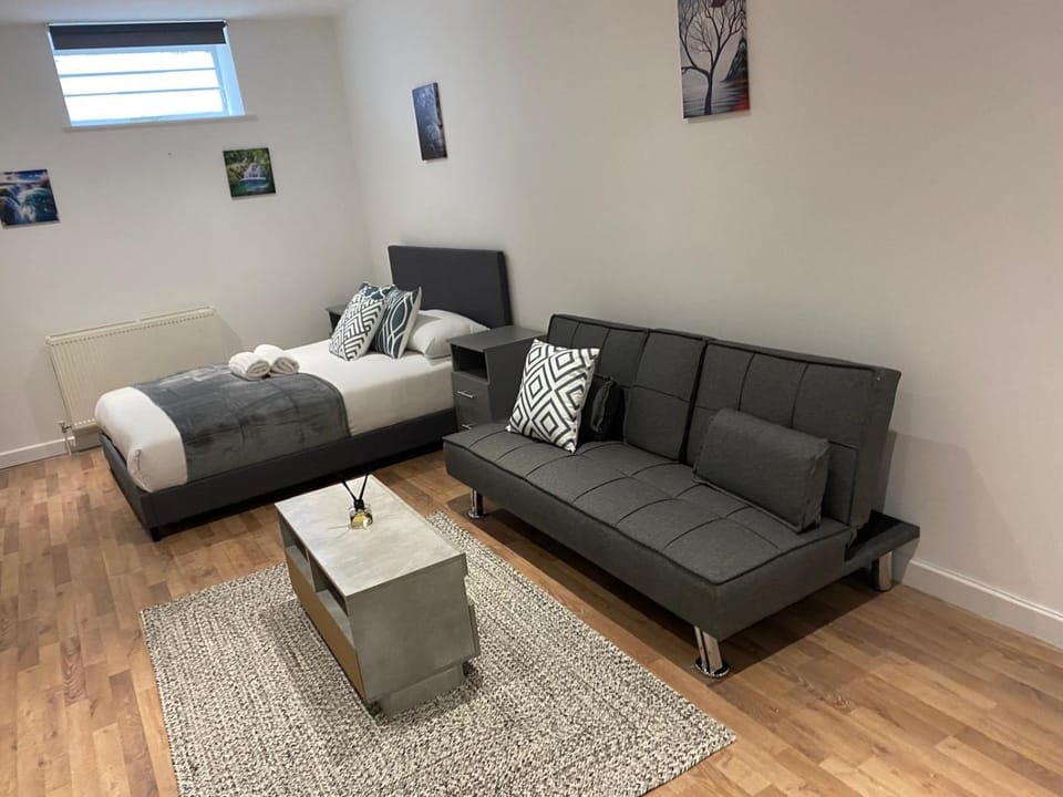 Trio of Lovely Studio Apartments in Shoreditch Apartment in London Borough of Islington