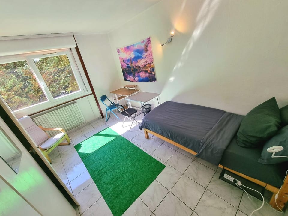Geneva House M Vacation rental in Haute-Savoie