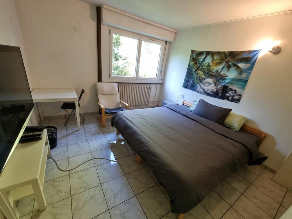 Geneva House M Vacation rental in Haute-Savoie