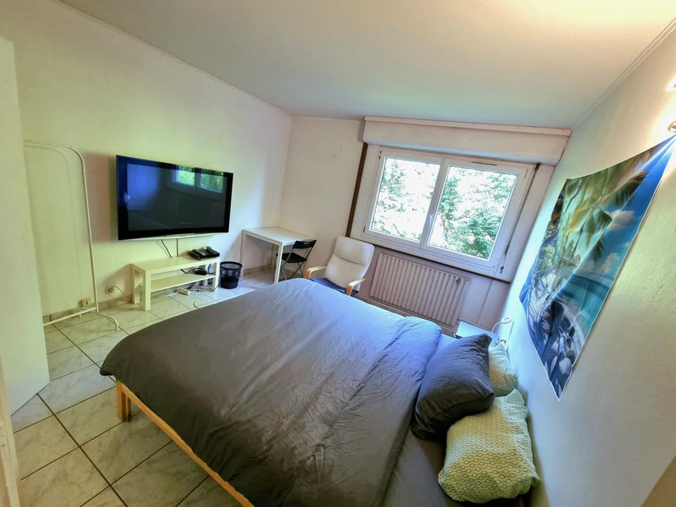 Geneva House M Vacation rental in Haute-Savoie