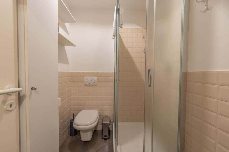 Shower, Toilet, Bathroom, bidet
