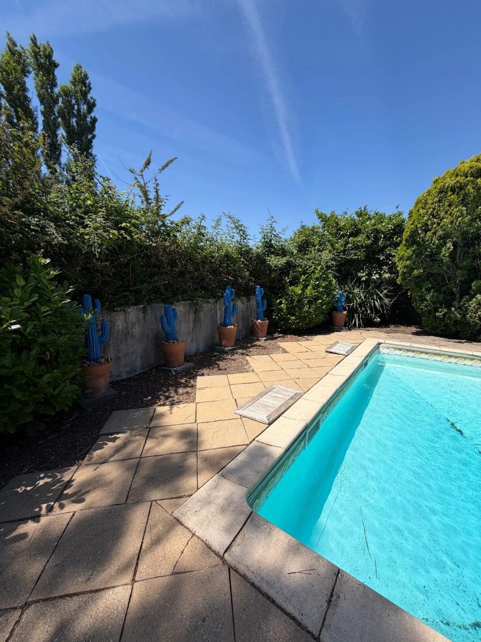 Pool view