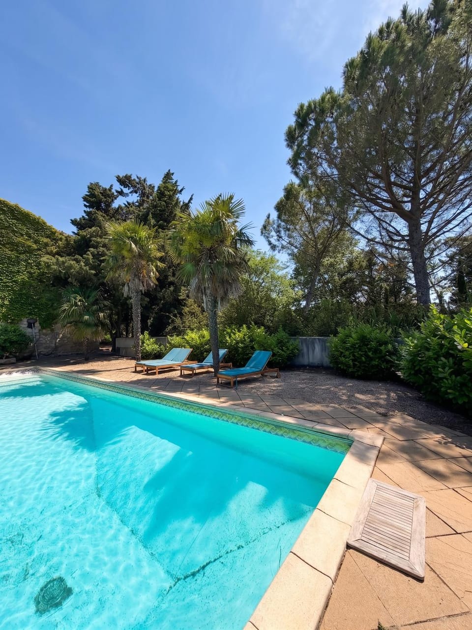 Pool view