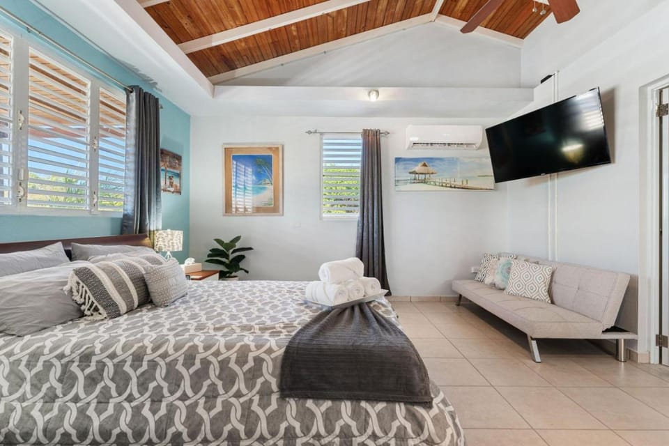 Gaviota del Mar with private pool House in Rincón