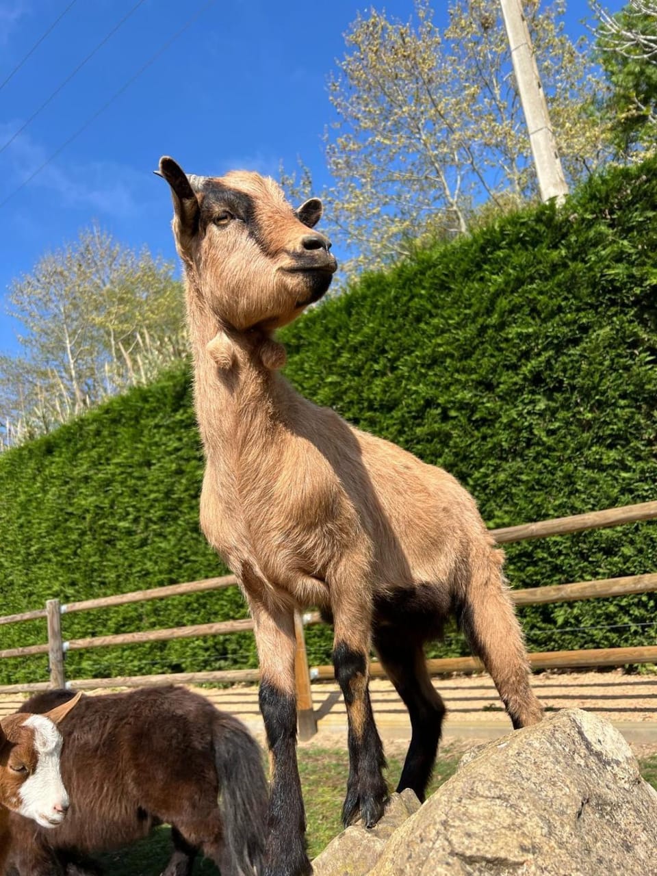 Rancho Catalan 2 Bed and Breakfast in Baix Empordà