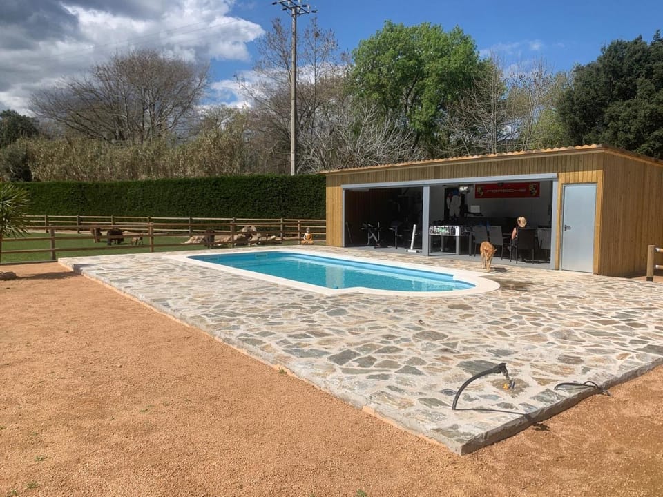 Lounge or bar, Swimming pool