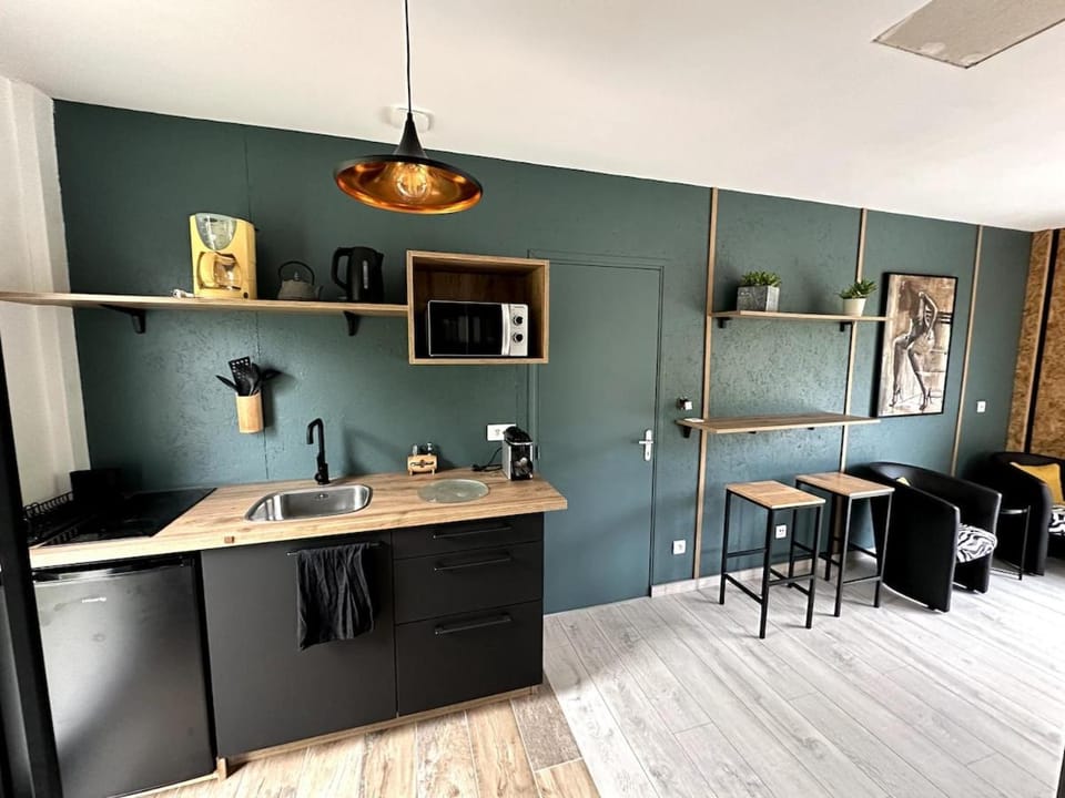 Alice's Studio and Oasis Apartment in Poitiers