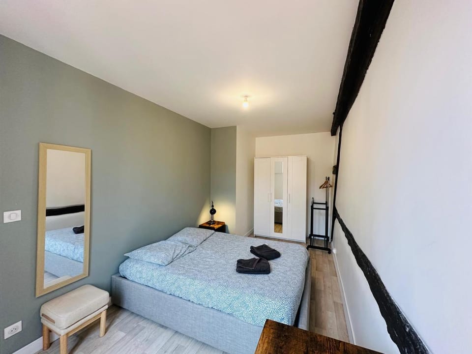 Charmant appartement centre Dijon Apartment in Dijon