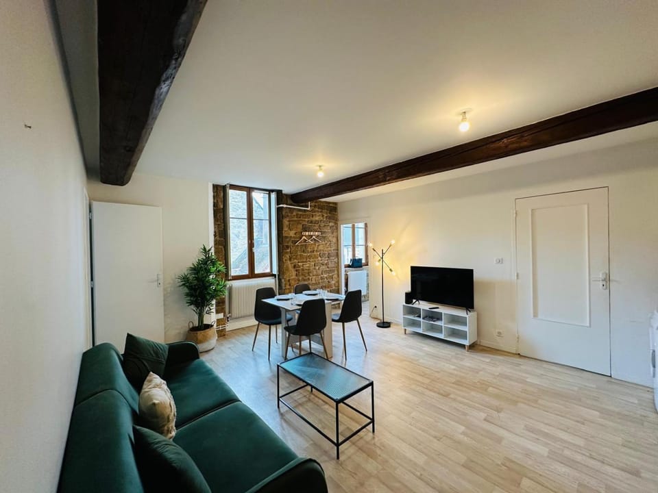 Charmant appartement centre Dijon Apartment in Dijon