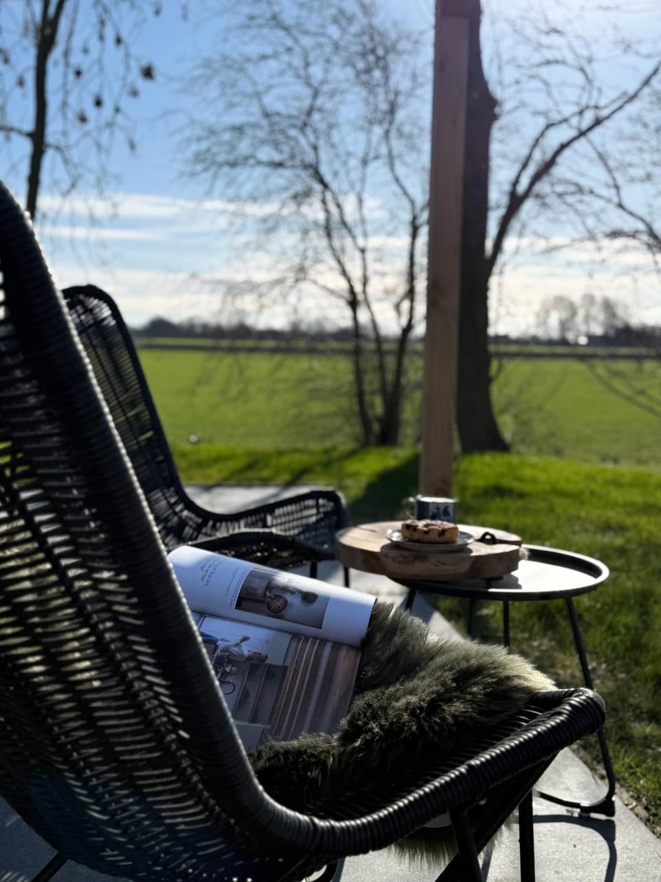 Day, Natural landscape, Garden