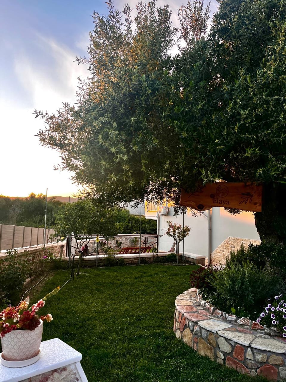 Patio, Spring, Day, Garden, Garden view
