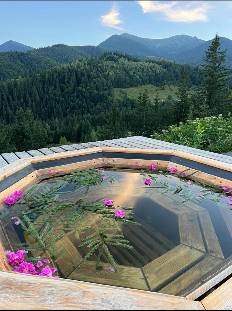 Spa and wellness centre/facilities