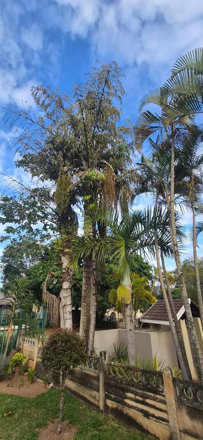 Garden view, Quiet street view
