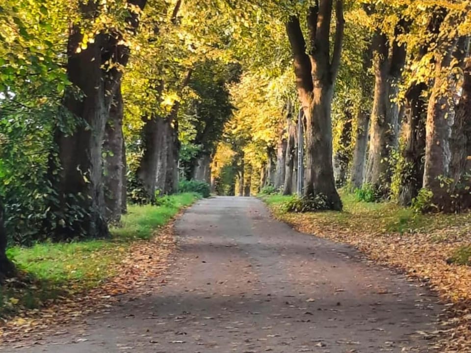 Neighbourhood