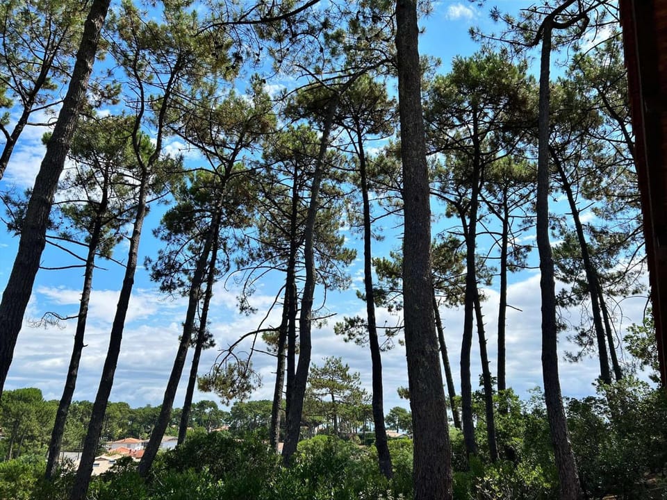 Villa Lège-Cap-Ferret, 4 chambres, 8 pers., jardin clos, animaux admis - FR-1-736-73 Villa in La Teste-de-Buch