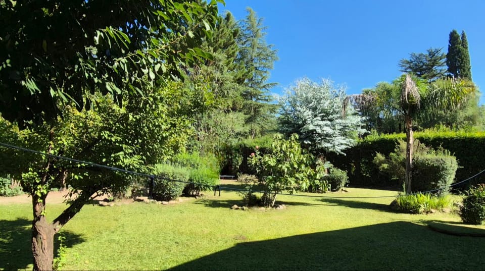 Day, Natural landscape, Garden view