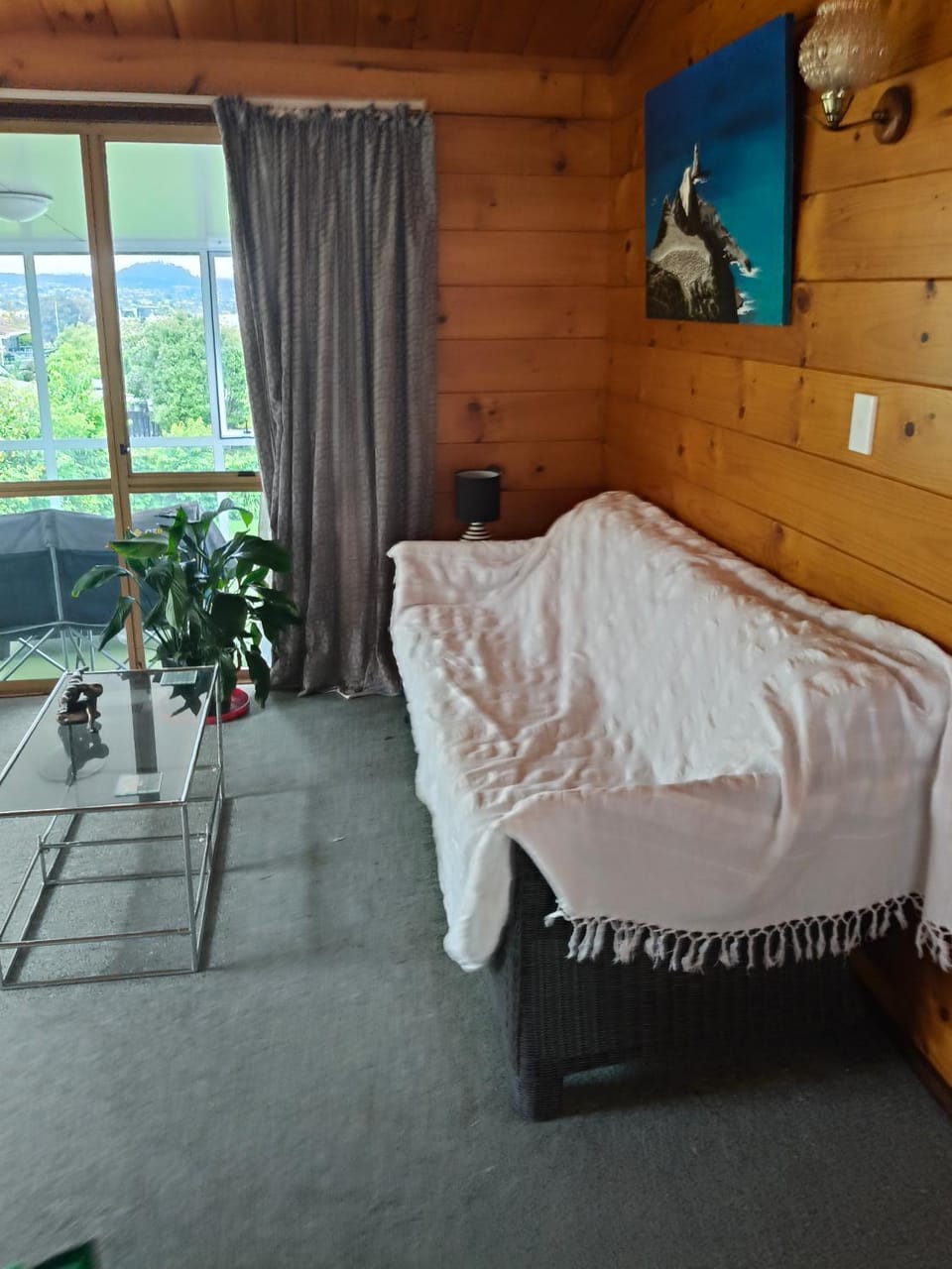 Steve's Cozy Retreat Vacation rental in Taupo