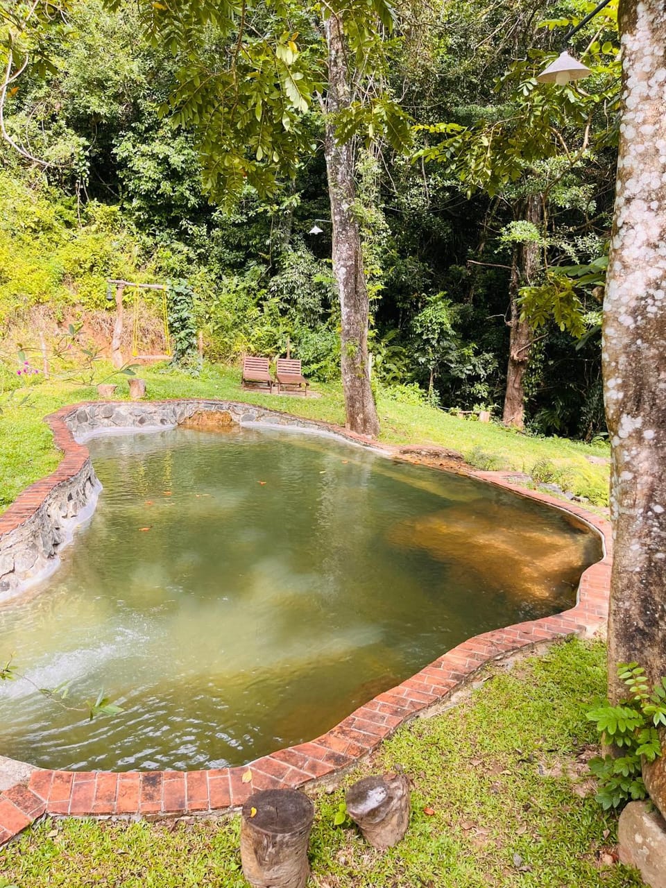 Spring, Natural landscape, Garden, Garden view, Pool view, Swimming pool