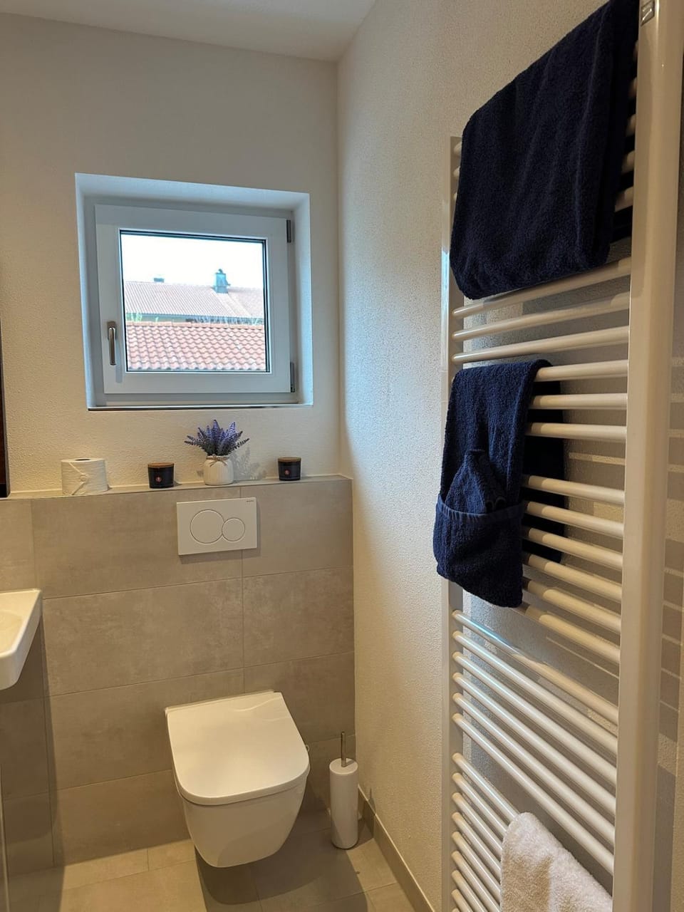 Toilet, Bathroom, towels