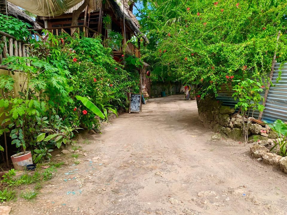 Garden view, Quiet street view