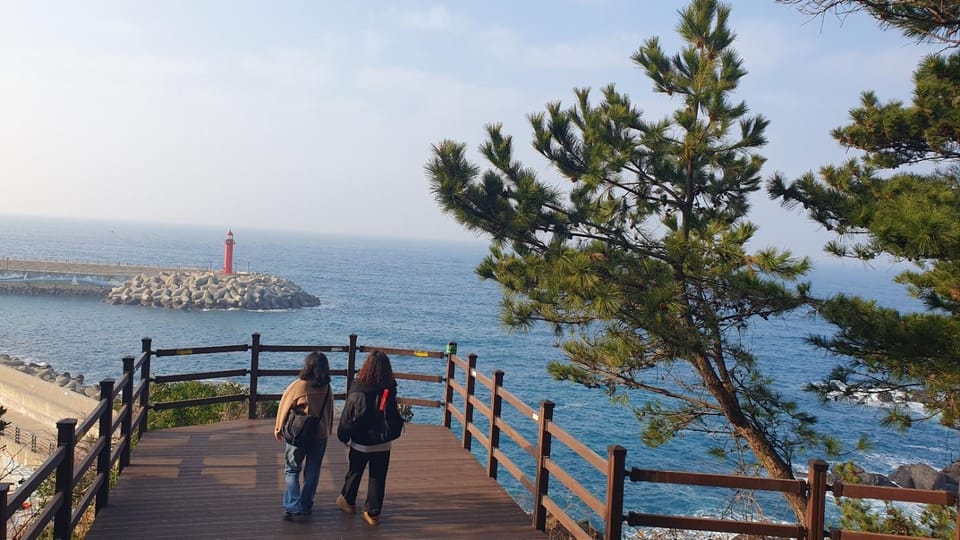 제주도두봉펜션 Country House in South Korea