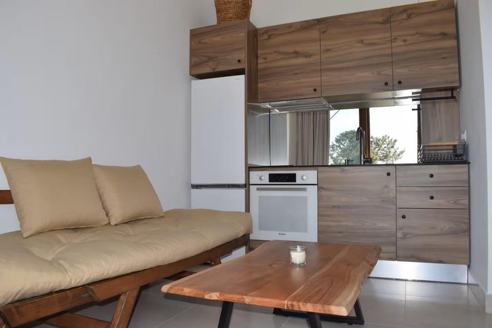 Living room, kitchen