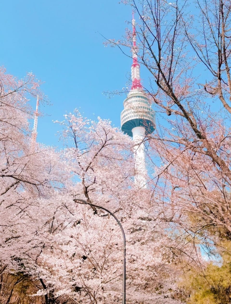 Spring, Natural landscape