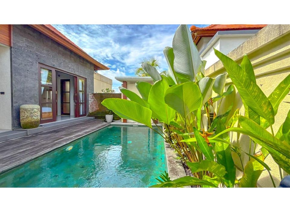 Property building, Patio, Day, Garden, Garden view, Pool view, Swimming pool